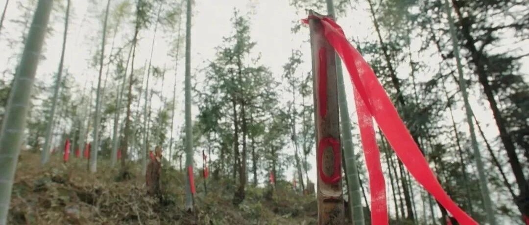 破防了！“你的名字无人知晓……”