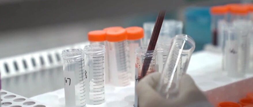 最新！陈薇团队新冠疫苗，海外开展三期临床试验