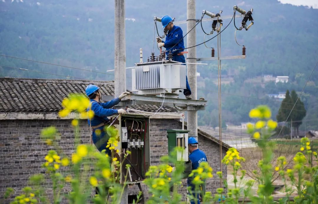 致富经甲鱼养殖技术视频_致富经甲鱼_致富经甲鱼养殖视频