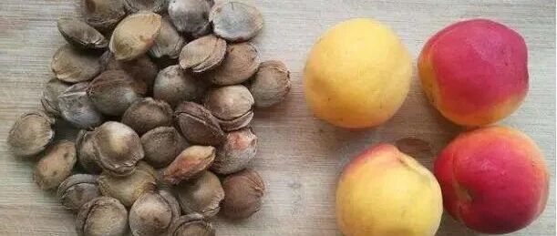 什么东西这么厉害？生吃3颗就会要你小命！