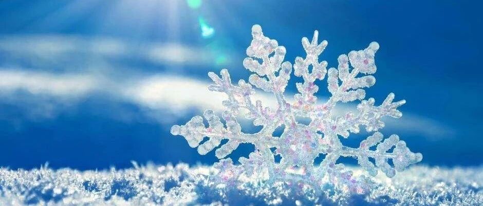 官宣【入冬】啦！冷空气已在路上，这份保暖攻略赶紧签收……