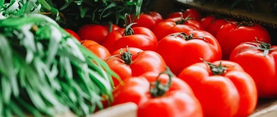 西红柿生吃好还是熟吃好？终于有答案了！