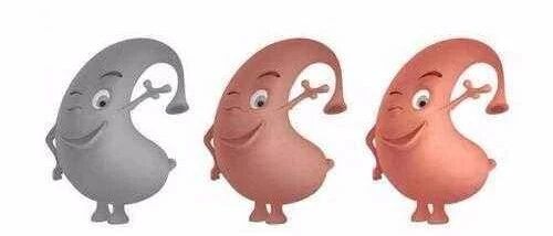 秋季养胃正当时，常吃5种食物、按3穴，收获健康胃~