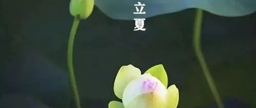 今日立夏，一年里阳气最盛的季节，正是养生关键期!