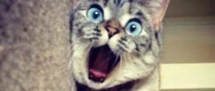 宁波30岁小伙突发脑梗死！这两个习惯害了他