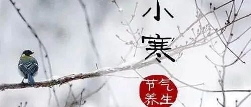 小寒节气，强冷空气又要来哉，最低-8℃！最冷的日子要防点啥
