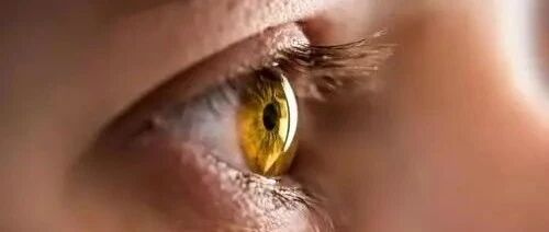 杨迪拿他的亲身体验告诉我们，这玩意儿还是少用为妙...