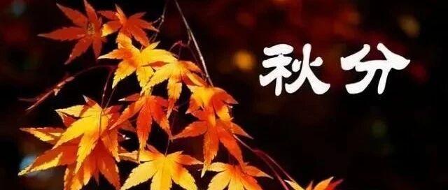 秋分节气的养生须知，请查收......