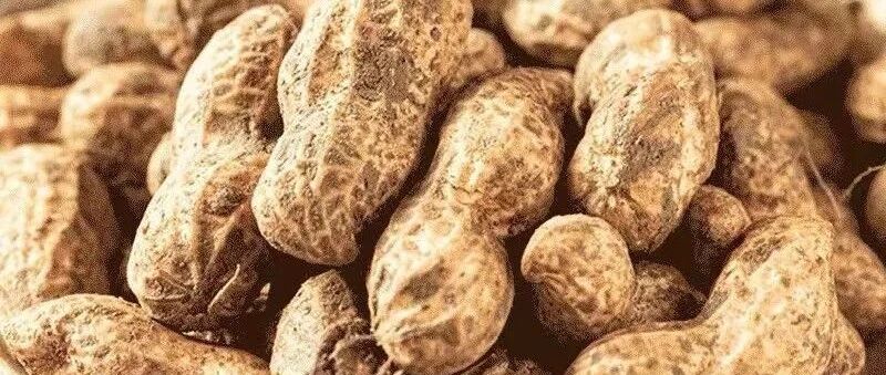 生花生or熟花生，哪种更有益？答案竟是……3种“新吃法”，润肺清肝，补气血~