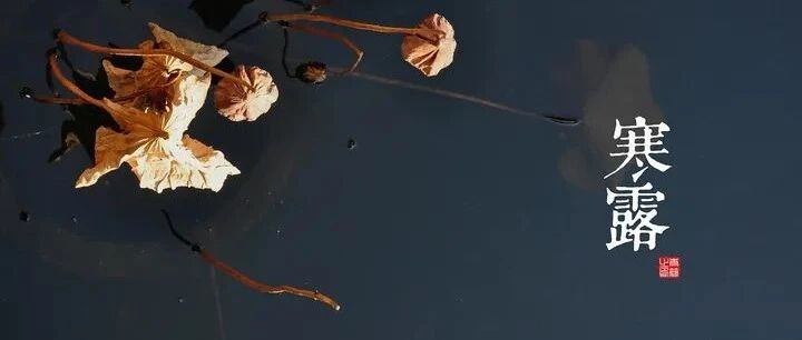 今日寒露，养生牢记“五个一”