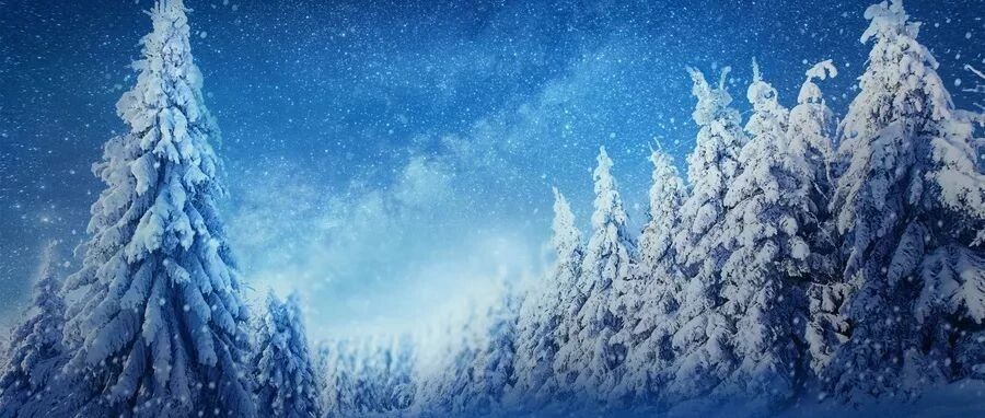 廿四节气 | 大雪：夜深知雪重