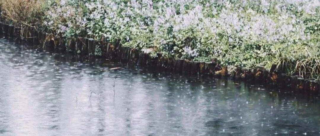 冷空气来了！气温将跌至“2”字头