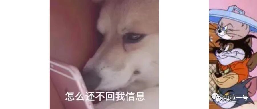 老司机福利，P站视频都能下载了！