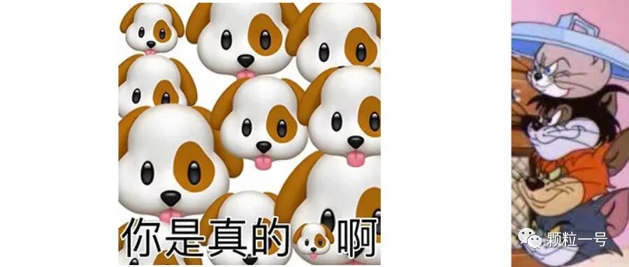 老司机福利，P站视频都能下载了！