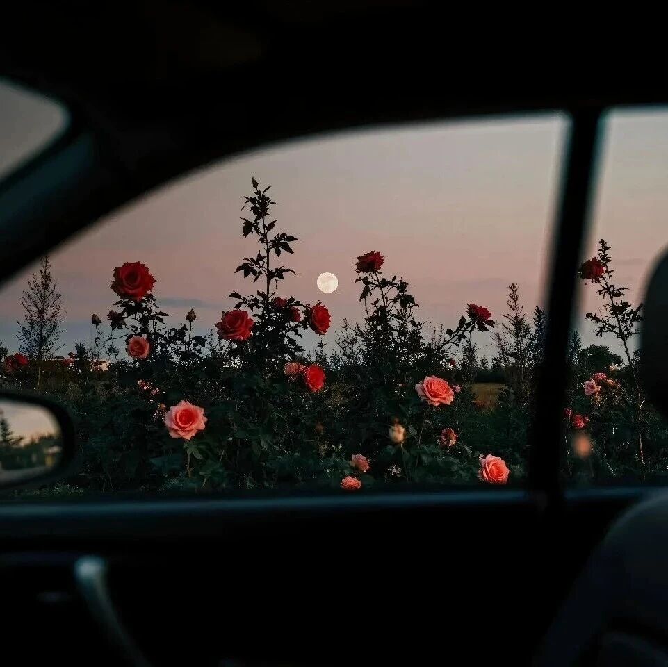 超养眼iPad电脑壁纸