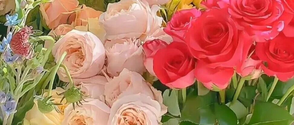 微信｜iPhone 17 Pro壁纸