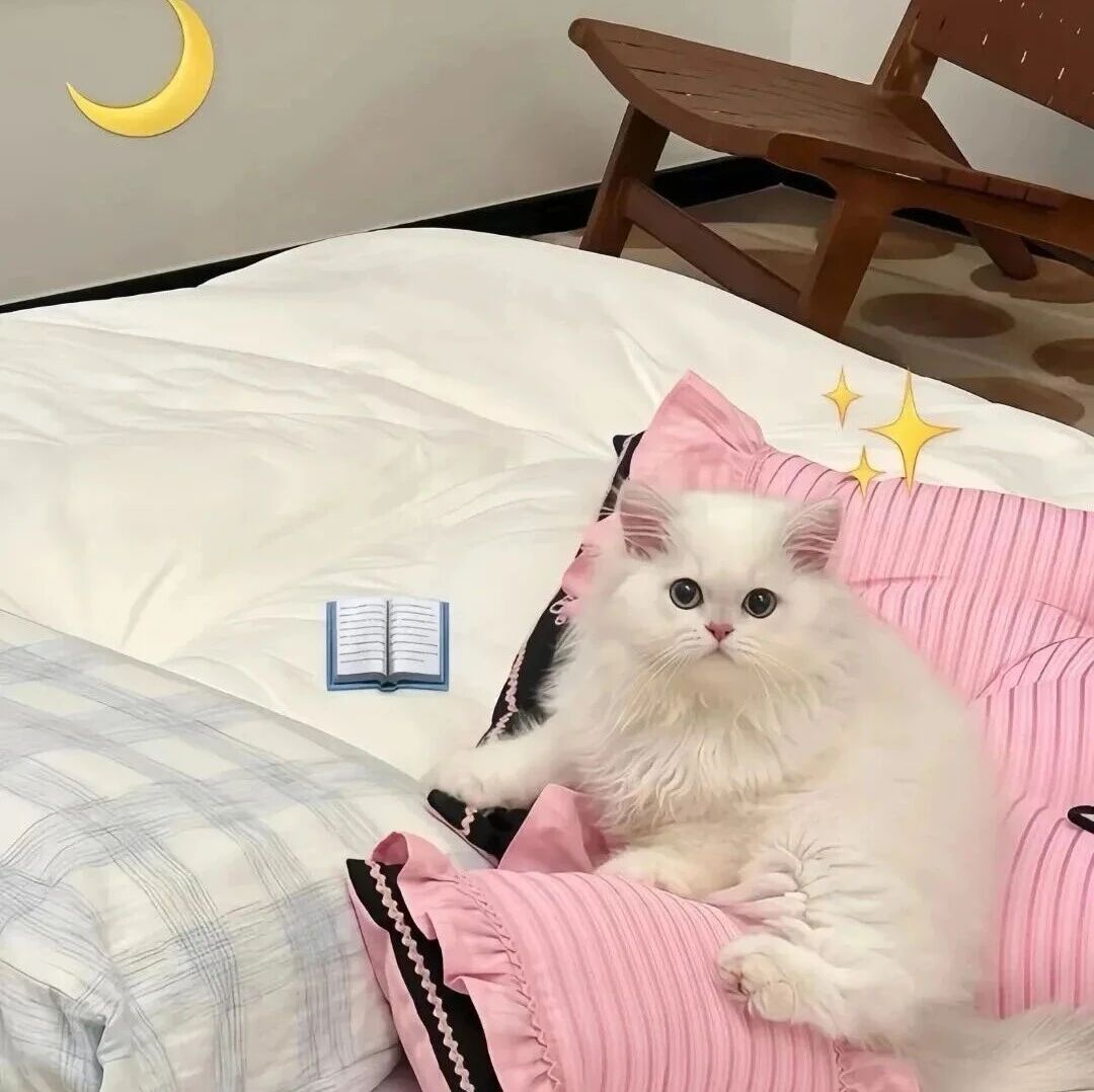 ins风壁纸