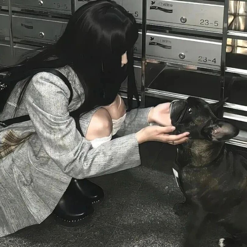 ipad平板电脑｜8K高清壁纸88张