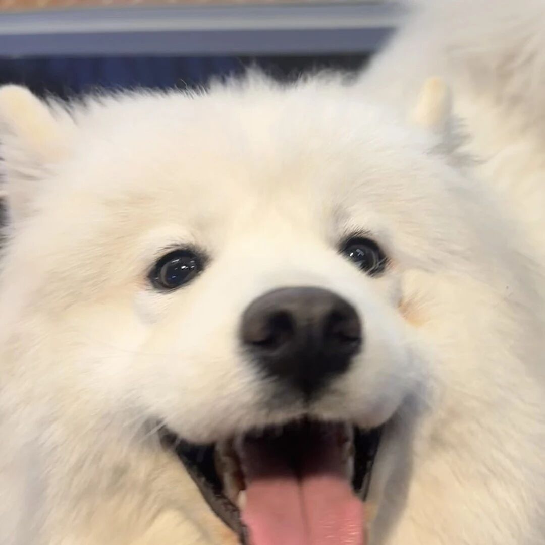 手机iPhone17 | 全屏壁纸