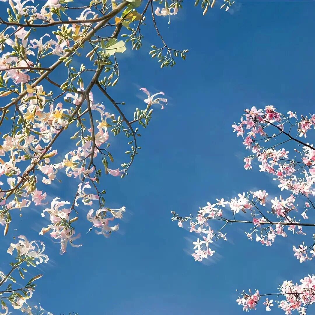 wallpaper｜iOS质感手机壁纸