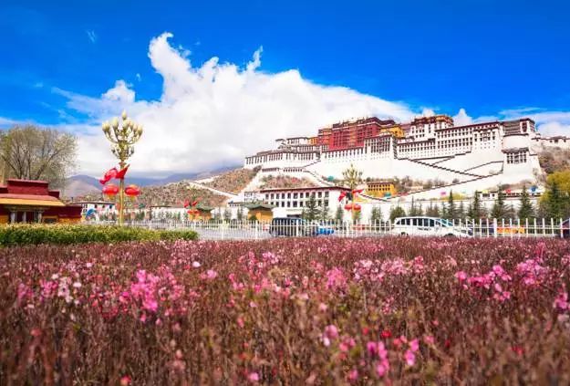 西藏顏值最高、最風情、最綺麗的天路，值得說走就走的旅途！ 未分類 第16張