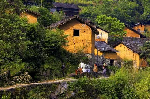 浙江排名前十的「好空氣」旅遊目的地，有你附近的嗎？ 未分類 第10張