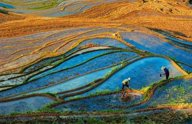 浙江排名前十的「好空氣」旅遊目的地，有你附近的嗎？ 未分類 第9張