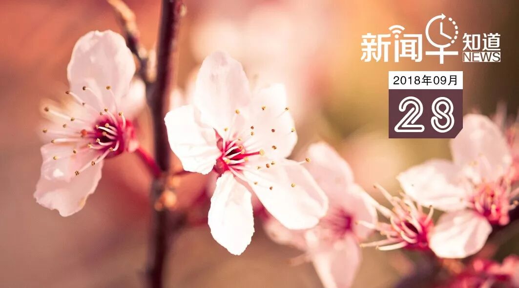 640?wx_fmt=jpeg&tp=webp&wxfrom=5&wx_lazy=1&wx_co=1