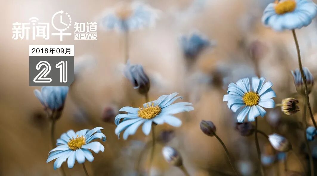 640?wx_fmt=jpeg&tp=webp&wxfrom=5&wx_lazy=1&wx_co=1