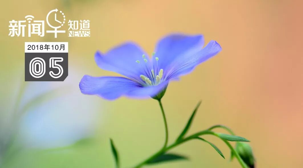 640?wx_fmt=jpeg&wxfrom=5&wx_lazy=1&wx_co=1