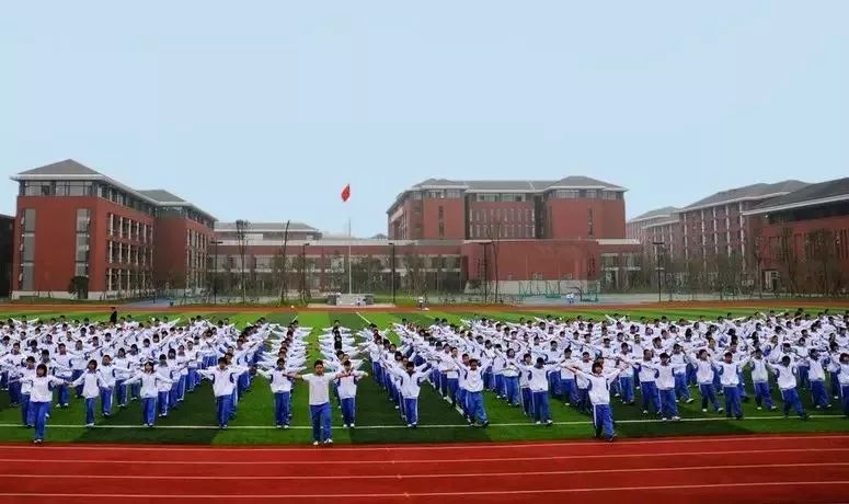 成都知名小学排名_成都小学排名前100_成都小学排名前十名