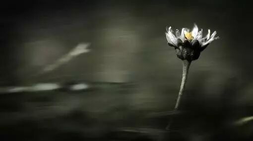 一旨封妃二旨封后小说_一个言字旁一个旨_讠言旁的字