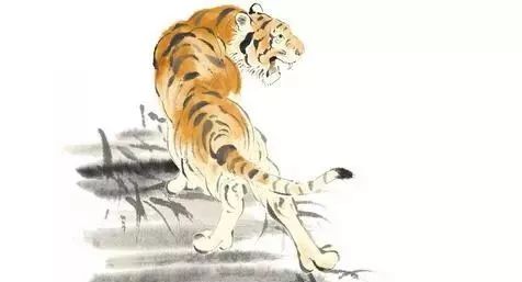 灿烂夺目打一数字_灿烂生肖夺目是什么动物_灿烂夺目是什么生肖