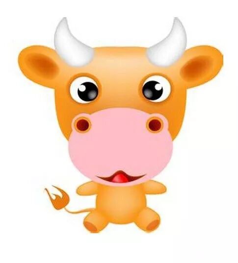 保定市竞秀区闻巢软件开发工作室