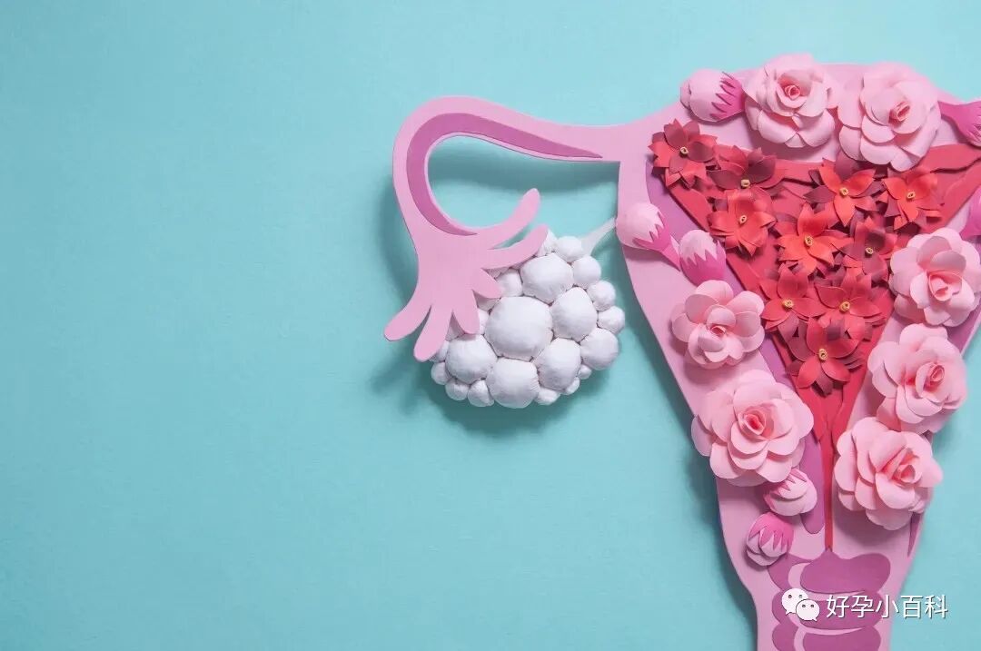 「卵巢早衰」年轻化的真相，损害卵巢的4大行为！