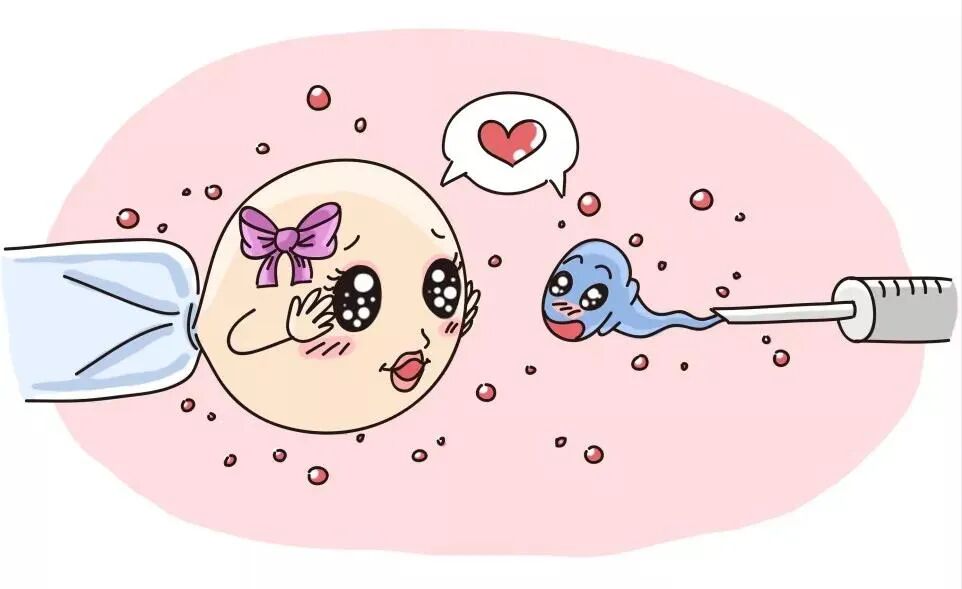 有哪些精子问题做试管也解决不了?