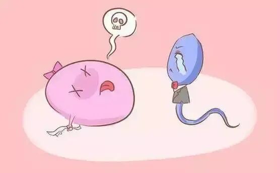 有哪些精子问题做试管也解决不了?