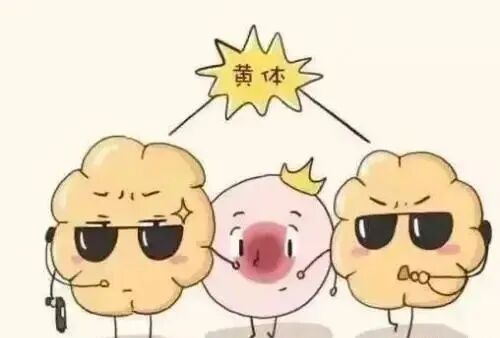 月经过多过少，也许是不孕的警告！