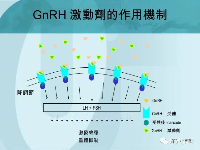 试管促排卵的梦魇——卵巢过度刺激综合征！