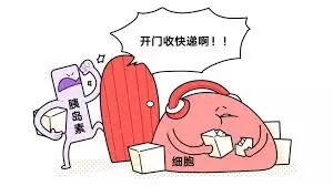 女生那里长毛毛？一张图揭晓“毛毛星人”