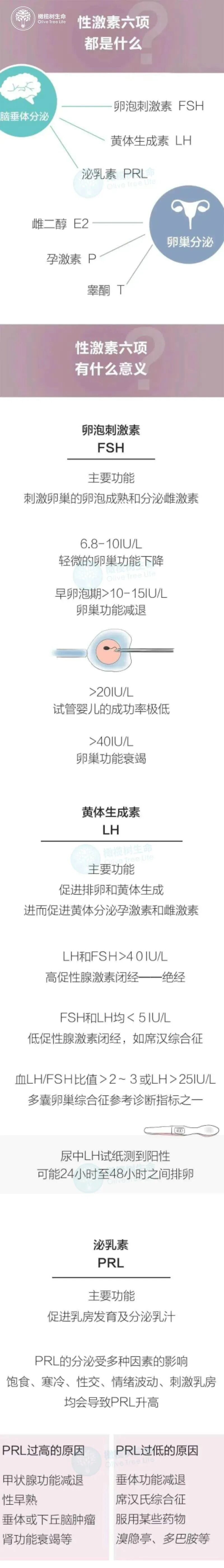 一张图告诉你 性激素六项检查的都是什么？