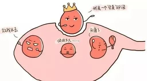 卵子也"内卷"！为何她的卵子数和我的不一样?