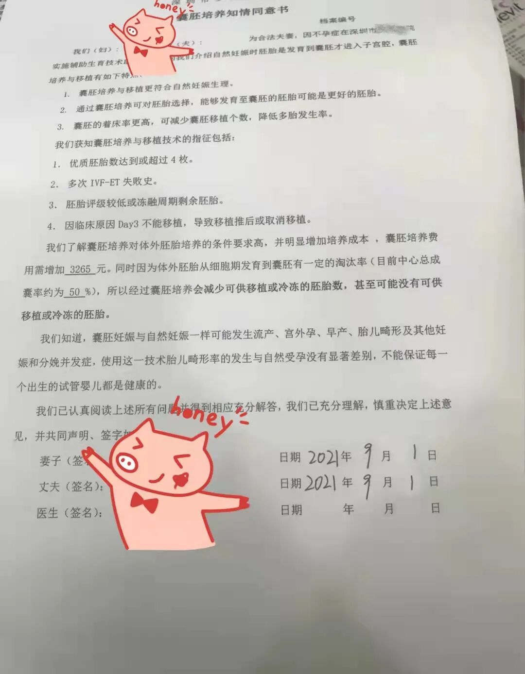 做试管，移植囊胚还是卵裂期胚胎？该怎么选？