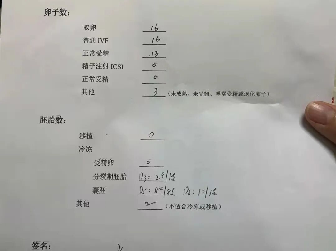 做试管，移植囊胚还是卵裂期胚胎？该怎么选？