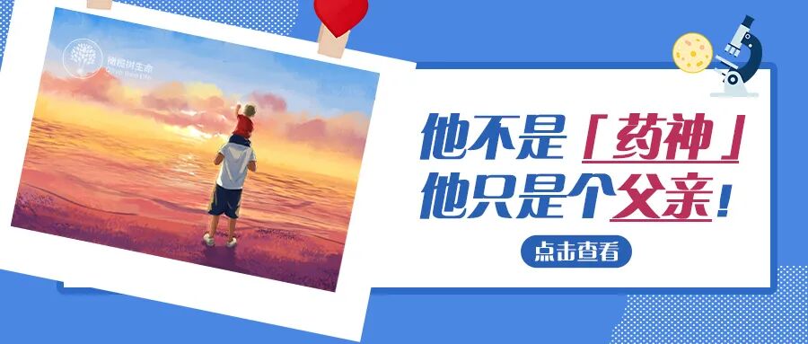 做试管，移植囊胚还是卵裂期胚胎？该怎么选？