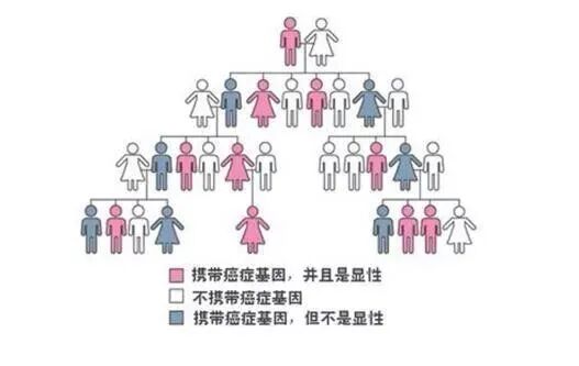 基因遗传疾病 | 畸形胎儿，该如何逆天改命？