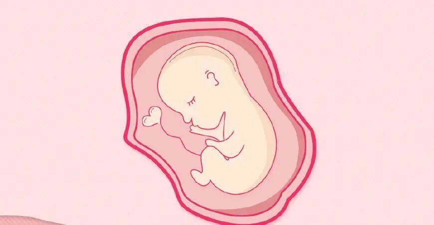 基因遗传疾病 | 畸形胎儿，该如何逆天改命？