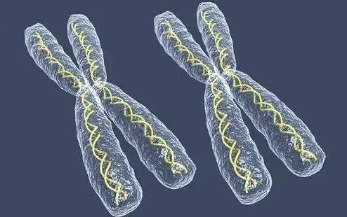 夫妻同床共枕5年，一觉醒来丈夫变“姐妹”！