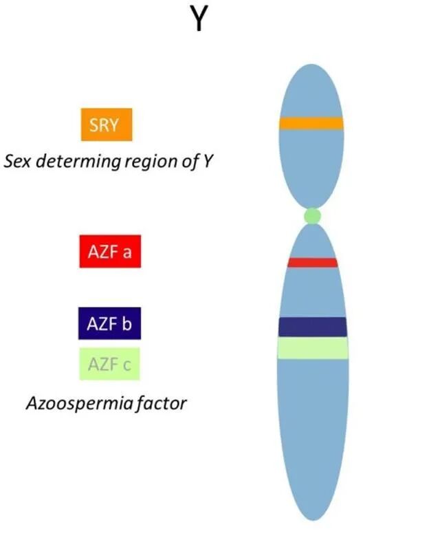 夫妻同床共枕5年，一觉醒来丈夫变“姐妹”！