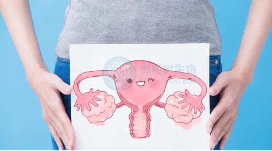 卵巢时间管理大师——AMH